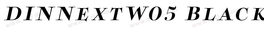 DINNextW05 BlackItal字体转换